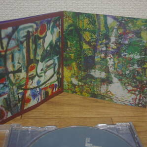 PHTHALOCYANINE : 25 TRACKS FER 1 TRACK 中古CD 2000 Planet Mu Records の画像6