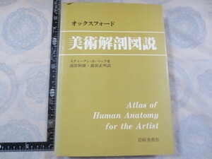 CC073n◆オックスフォード美術解剖図説 スティーブン・R.ペック 著 ; 雨宮恒雄 前田正明 訳 岩崎美術社 ◆昭和56年 269p