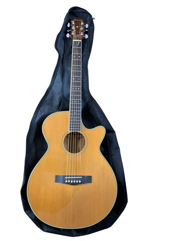 ブルー×レッド アイバニーズ Ibanez AE245-NT(エレアコ