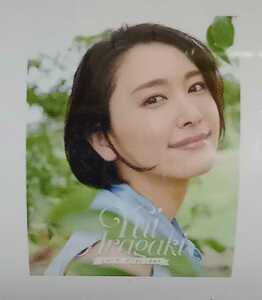  Aragaki Yui 2017 calendar B2 size 