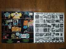 GROOVIE GHOULIES BORN IN THE BASEMENT/カラー盤 LOOKOUT RECORDS ルックアウト poppunk ポップパンク レコード LP_画像2