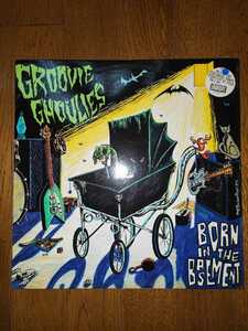 GROOVIE GHOULIES BORN IN THE BASEMENT/カラー盤 LOOKOUT RECORDS ルックアウト poppunk ポップパンク レコード LP