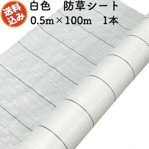 防草シート 白色（サンホワイト） 0.5m×100m 1本 抗菌剤 UV剤入り 反射 除草シート 太陽光 野菜 畑 農業