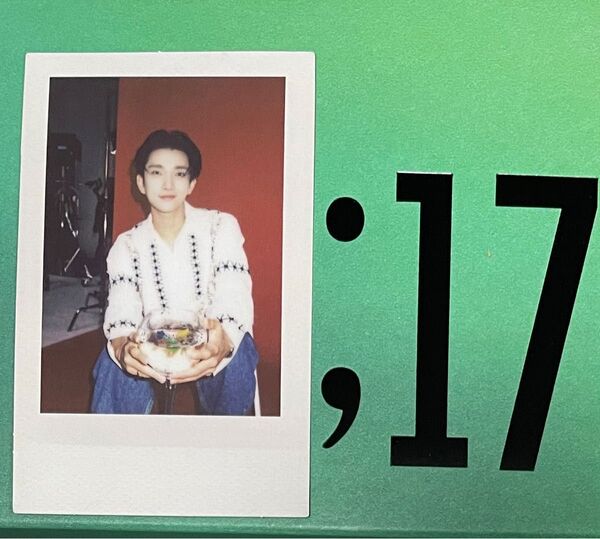【ジョシュア】seventeen the name 17 インスタントフォト