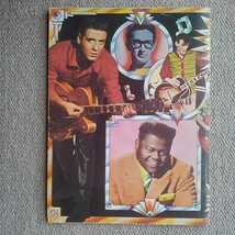 THE GOLDEN YEARS ROCK & ROLL BERRY,PRESLEY,HALEY,COCHRAN,HOLLY他　洋書_画像2