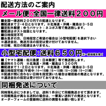 ANE-USB-05:バッテリー充電器Canon NB-4L:IXY DIGITAL L3 L4 WIRELESS対応 　1台で幾種類ものリチウムイオン電池、充電可！_画像9