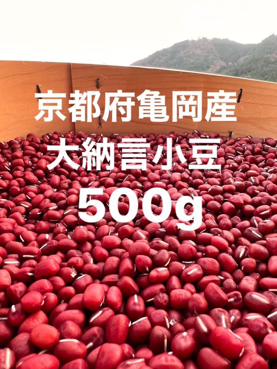 注目の福袋! 小豆 20キロ asakusa.sub.jp