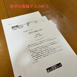 《数学の真髄》　【東進東大特進: 2020年度数学の真髄】第6期テストゼミ(文系) 演習2回分　