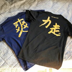 asics アシックス 速乾Tシャツ　鳥取さわやか車いす&湖山池マラソン参加賞 Ｌサイズ