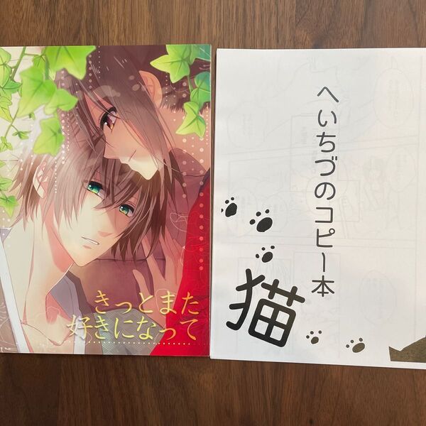 薄桜鬼 同人誌 平助×千鶴 平千