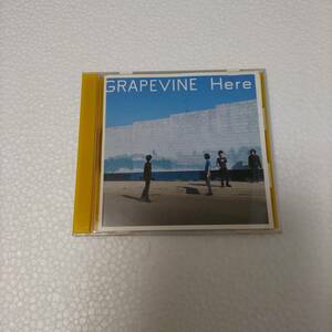 GRAPEVINE / Here　グレイプバイン