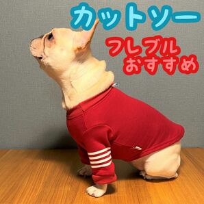 【XXLサイズ】レッド 犬服 Tシャツ カットソー 中型犬 スウェット