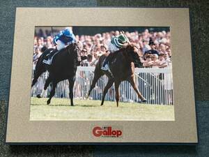  wooden photograph panel 1998 year Jack ruma lower . Thai ki Shuttle weekly Gallop sun Kei sport 