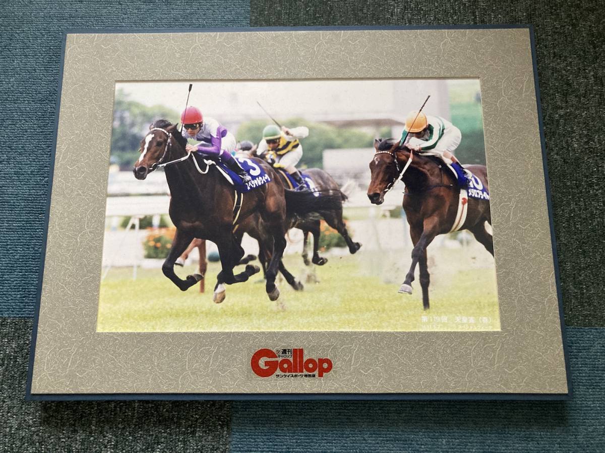 競馬 ギャロップ パネル