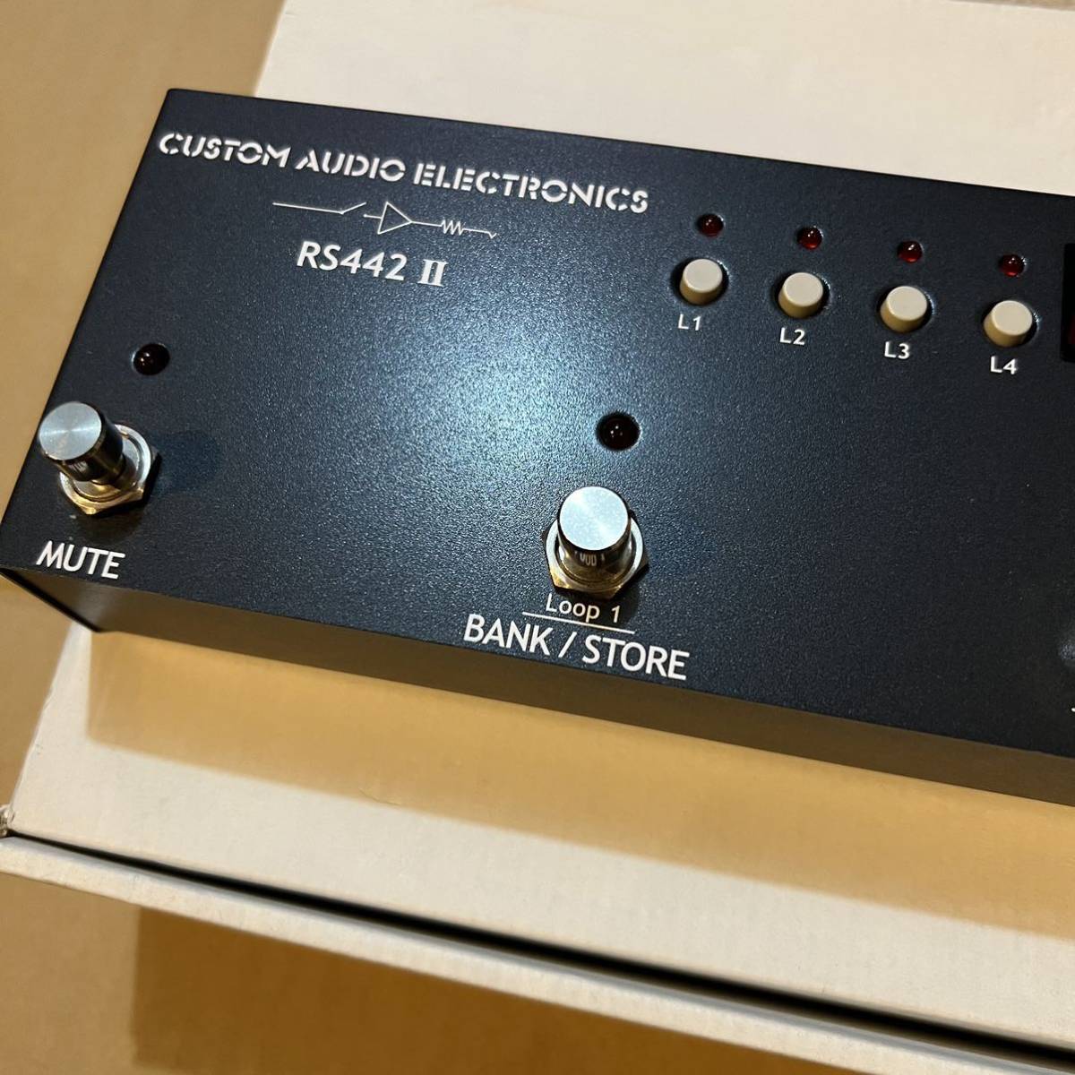 Custom Audio RS616 + RS-DSW カスタムオーディオ foodclique.org