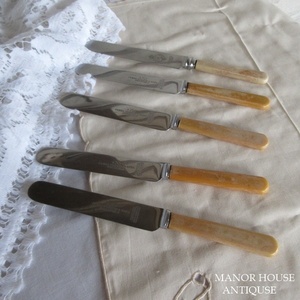  England made James Deakin & Sons made of stainless steel tina- knife desert knife 5 point set antique miscellaneous goods Britain tableware 1634sb