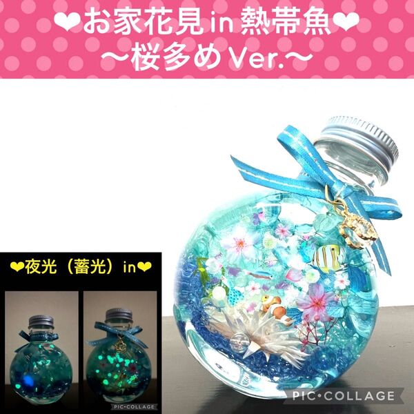 【桜＆熱帯魚】〜春のお花見Mix〜蓄光アクアリウム♪ジルコンお花チャーム付き♪ 桜多めVer.