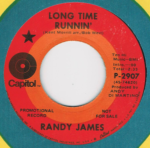 ●RANDY JAMES / LONG TIME RUNNIN' [US 45 ORIGINAL 7inch シングル PROMO ファンキー スワンプロック 試聴]