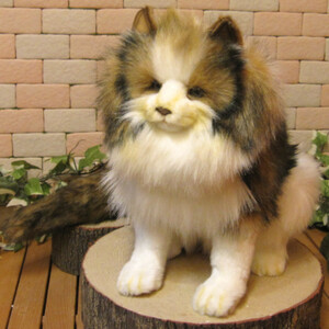 Фигурок кошки крупный и настоящий норвежский лесной кошка плюшевый кот кошачий объект внутренний мофумофу