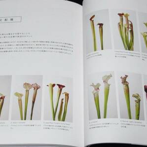 食虫植物 サラセニア・アレンジブック 彩りあふれる個性派植物完全ガイドの画像10