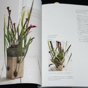 食虫植物 サラセニア・アレンジブック 彩りあふれる個性派植物完全ガイドの画像6