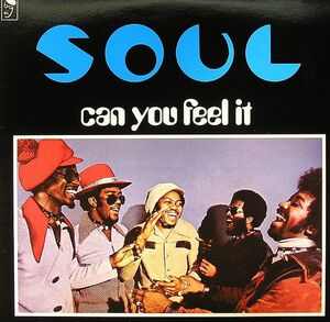 新品 LP ★ S.O.U.L. - Can You Feel It ★ アナログ レコード オルガンバー サバービア フリーソウル muro kiyo koco レアグルーヴ SOUL