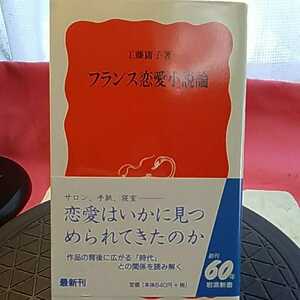 フランス恋愛小説論 （岩波新書　新赤版　５７３） 工藤庸子／著