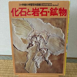 化石と岩石・鉱物 （小学館の学習百科図鑑　２９） 立見辰雄／共著　浜田隆士／共著