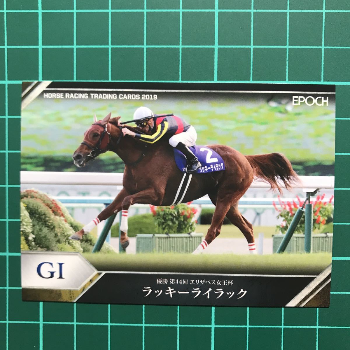 競馬 EPOCH HORSE RACING オウケンブルースリ-