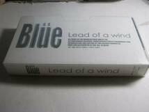 BLUE ブルー / LEAD OF A WIND 配布VHS JILS Kain C'est La vie oxbxjxe D≒SIRE Endless 