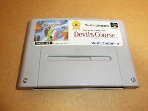 SFC 3D COLF Devil`s Course T&ESOFT