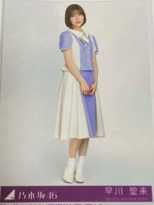 Art hand Auction Nogizaka46 31-й сингл Koko ni Ni Mono Не для продажи Необработанное фото Сейра Хаякава Неоткрытый предмет, На линии, из, Ногизака46
