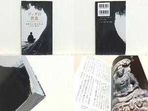 ★ブッダの言葉 中村元 /仏陀 /2500年前、ブッダが弟子たちに語った肉声を、悠久のインドの風景の中で読む/領収書可