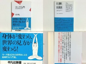 ★ヨーガ入門―自分と世界を変える方法 (平凡社新書) 北沢方邦/ヨガ/送料安/領収書可