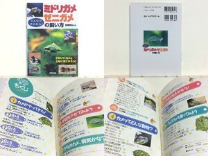 ★ミドリガメ・ゼニガメの飼い方 霍野晋吉 /亀 /毎日の基本的な世話から病気まで、やさしく解説 /送料安/領収書可