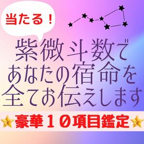 紫微斗数　スペシャル鑑定　占い　恋愛　結婚　仕事　対人運　金運　不倫　復縁　離婚　開運　運勢　当たる　天職　適職　転職　運命　宿命