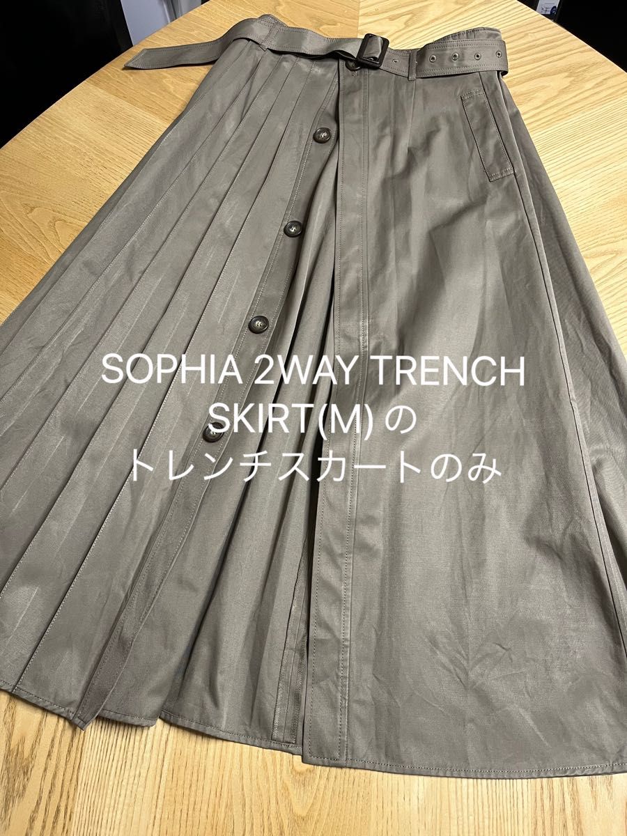 春先取りの HARUKI SHIMAMURA ハルキシマムラ 2way L-2 SKIRT