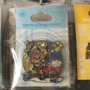  Disney summer Splash 2010 pin badge pin bachi Mickey minnie Donald chip Dale TDR summer festival 