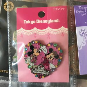  Disney Land Princess Dayz pin badge pin bachi Mickey minnie TDL