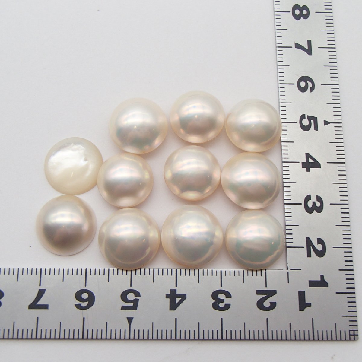 マベ 真珠の値段と価格推移は？｜1,065件の売買情報を集計したマベ 
