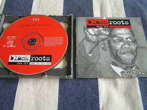 【HR210】《Black Roots - From 70's Funk To Hip Hop》James Brown / Sugarhill Gang 他