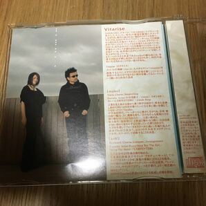 非売品CD Vitarise ビタライズ / moonlit AUBEイメージソング 井川遥 泉のくちびる。CDS-1702の画像3