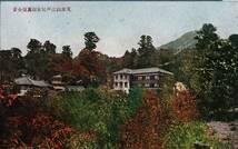 絵葉書　筑波山江戸屋旅館裏面全景　茨城県山岳観光名所絵はがき_画像1