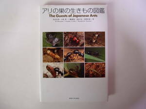 東海大学出版会 アリの巣の生きもの図鑑
