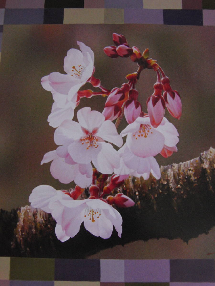 Tsukasa Yamaji, 【Kirschblüten, Lächeln, Rob 2】, Aus einer seltenen Sammlung von Rahmenkunst, In guter Kondition, Neuer Rahmen inklusive, Porto inklusive, Malerei, Ölgemälde, Natur, Landschaftsmalerei