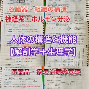 柔道整復師、鍼灸師、指圧師国家試験、定期試験対策シリーズ【解剖学・生理学】まとめ