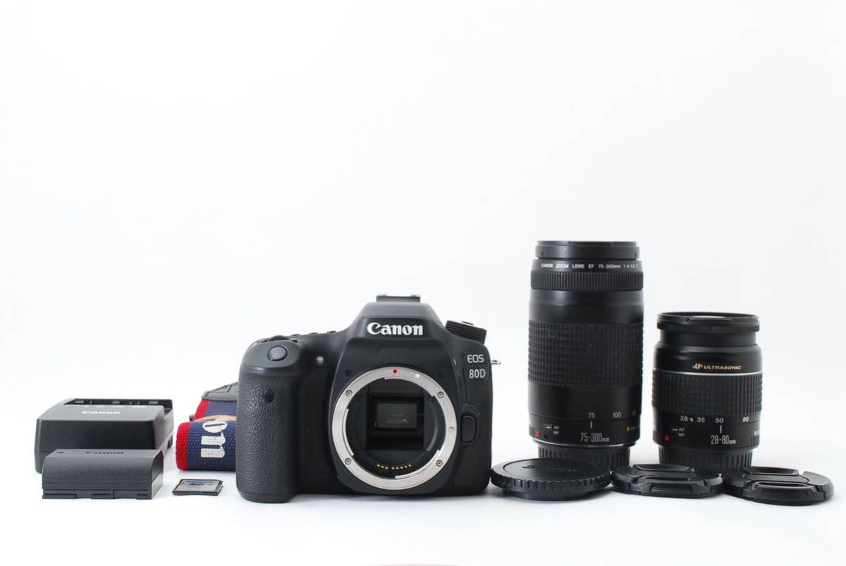 お得セット 標準&望遠ダブルレンズセット 【キャノン】Canon 80D EOS
