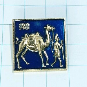 送料無料)中国 敦煌博物館 観光 旅行記念 ピンバッジ PINS ピンズ A13781