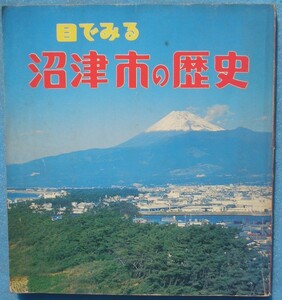 ☆☆★目でみる沼津市の歴史 小野真一著 緑星社出版部