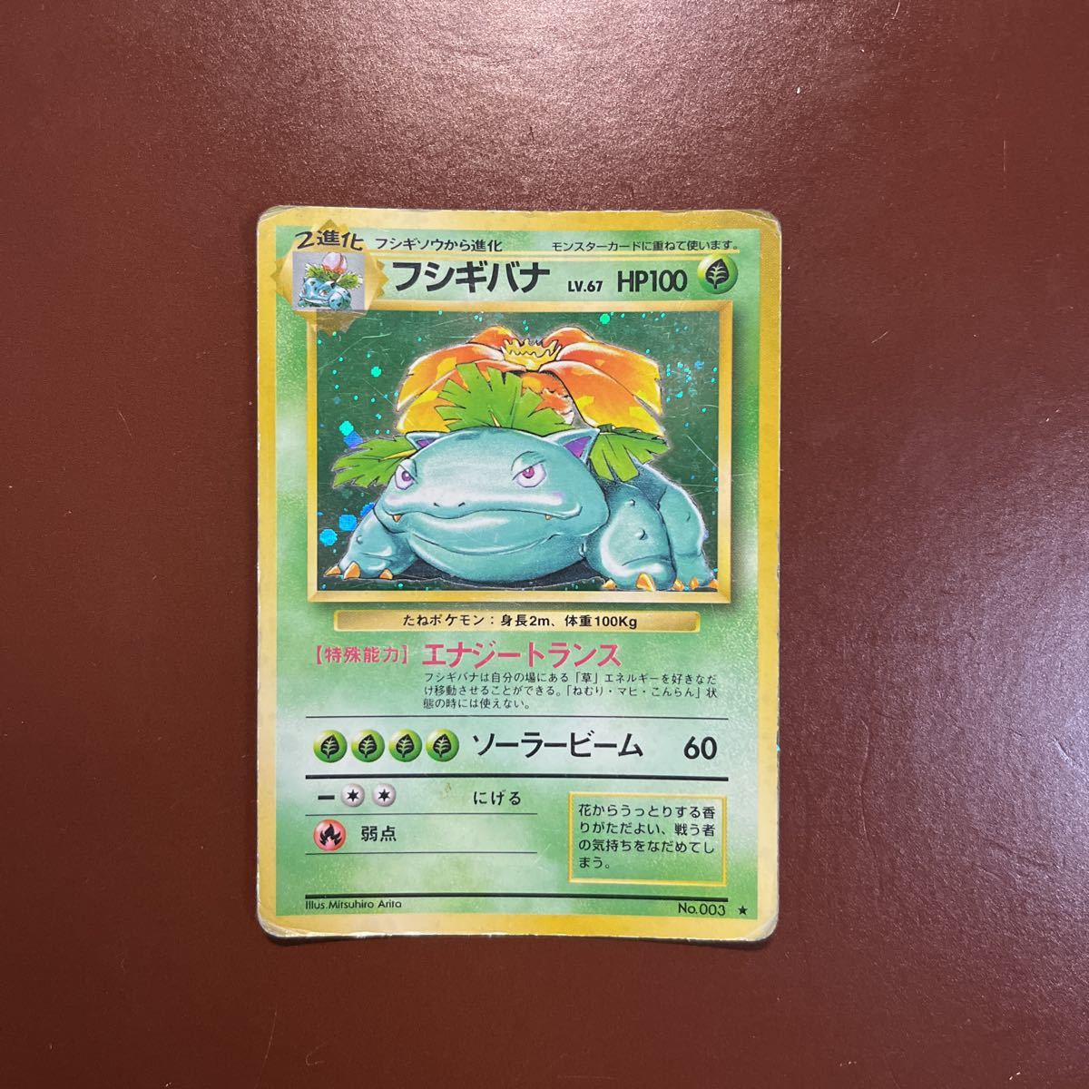 ヤフオク! -ポケモンカード 旧裏面 フシギバナの中古品・新品・未使用 ...